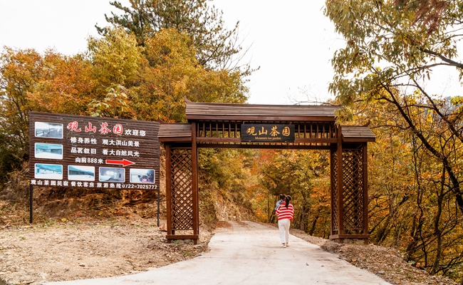 觀云山居 (13).jpg