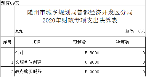 2020年財政專項支出決算表.png